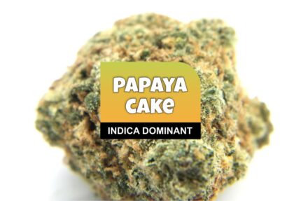 Papaya Cake Strain for sale